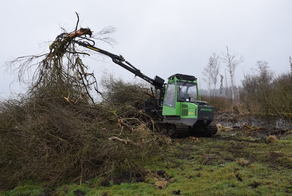 Viehweide Entbuschung